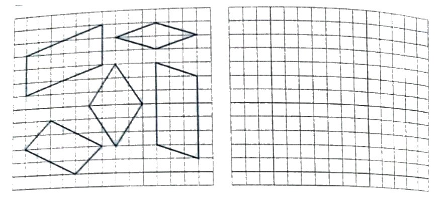 Bài 32: Ôn tập một số hình phẳng (tiết 1) trang 119 vở bài tập Toán 5 - Kết nối tri thức 4