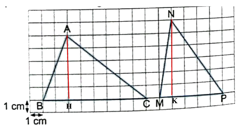 Bài 32: Ôn tập một số hình phẳng (tiết 2) trang 120 vở bài tập Toán 5 - Kết nối tri thức 1