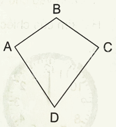 Bài 35: Ôn tập hình học (tiết 2) trang 102 Vở thực hành Toán 4 1