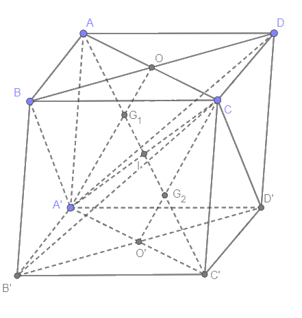 Bài 4.21 trang 114 SGK Toán 11 tập 1 - Cùng khám phá 2