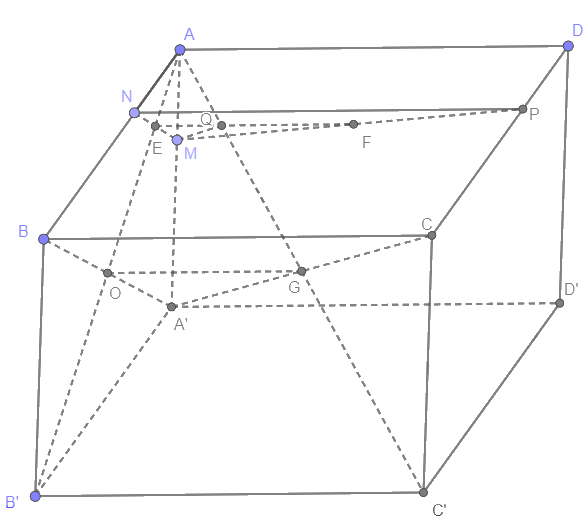 Bài 4.31 trang 124 SGK Toán 11 tập 1 - Cùng khám phá 2