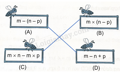 Bài 4. Biểu thức chứa chữ (tiết 3) trang 14 Vở thực hành Toán 4 1 2