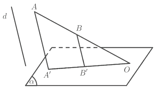 Bài 4 trang 126 SGK Toán 11 tập 1 - Chân trời sáng tạo 2