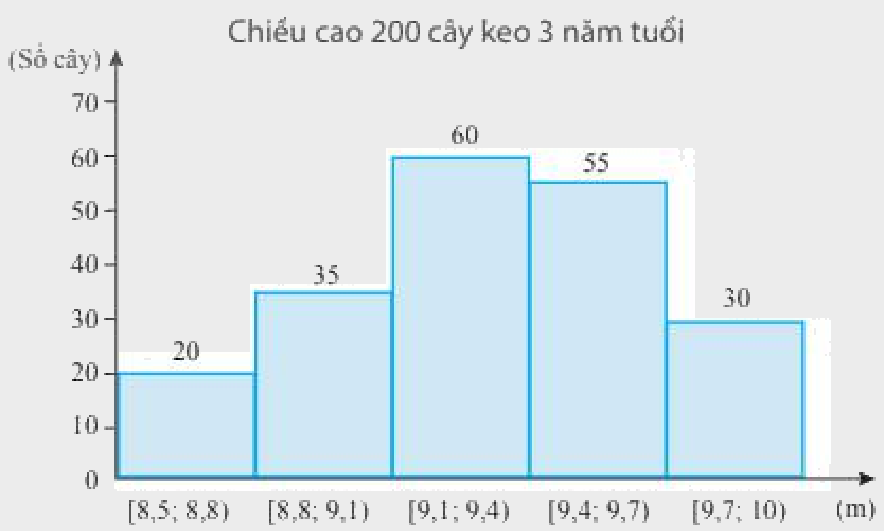 Bài 4 trang 135 SGK Toán 11 tập 1 - Chân trời sáng tạo 1