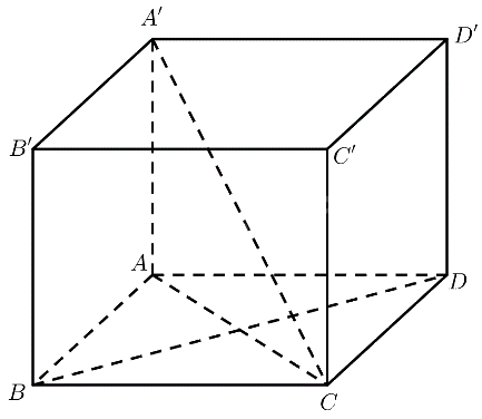 Bài 4 trang 74 SGK Toán 11 tập 2 – Chân trời sáng tạo 2