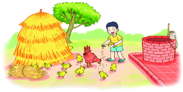 Bài 43. Bảng chia 2 4