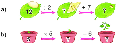 Bài 45. Luyện tập chung 33