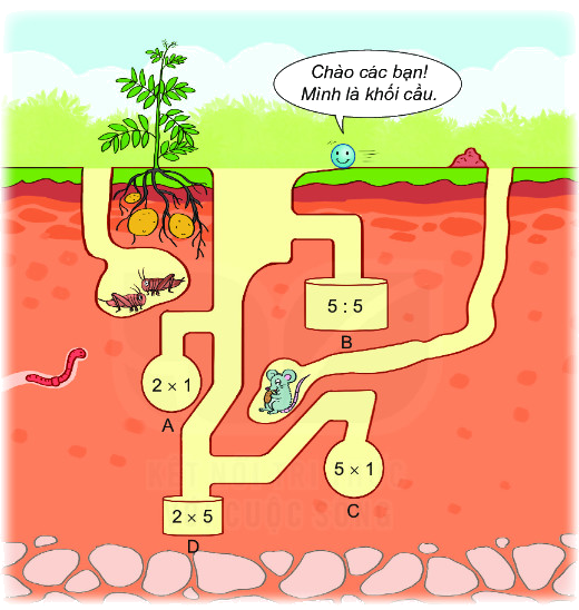 Bài 46. Khối trụ, khối cầu 5 1