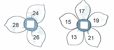 Bài 46: Tìm số trung bình cộng (tiết 2) trang 28 Vở thực hành Toán 4 0 1