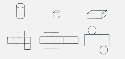 Bài 49: Hình khai triển của hình lập phương, hình hộp chữ nhật và hình trụ (tiết 2) trang 37 vở bài tập Toán 5 - Kết nối tri thức 1