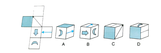 Bài 49: Hình khai triển của hình lập phương, hình hộp chữ nhật và hình trụ (tiết 2) trang 37 vở bài tập Toán 5 - Kết nối tri thức 7
