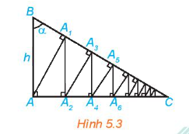 Bài 5.6 trang 109 SGK Toán 11 tập 1 - Kết nối tri thức 1