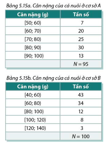 Bài 5.6 trang 134 SGK Toán 11 tập 1 - Cùng khám phá 1