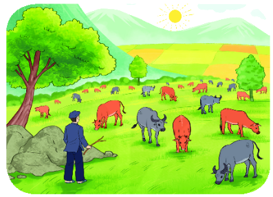 Bài 5: Ôn tập phép cộng, phép trừ (không nhớ) trong phạm vi 100 9 1