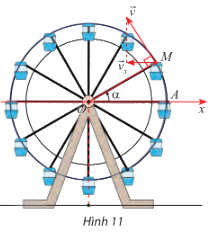 Bài 5 trang 33 SGK Toán 11 tập 1 - Chân trời sáng tạo 1