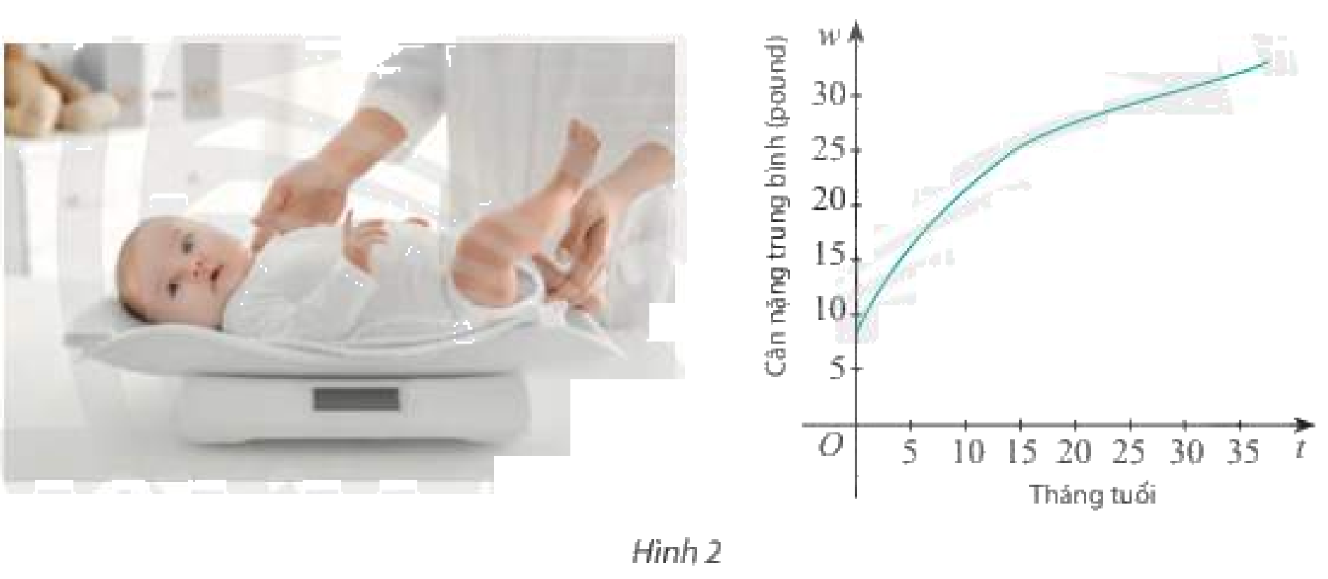 Bài 5 trang 49 SGK Toán 11 tập 2 - Chân trời sáng tạo 1