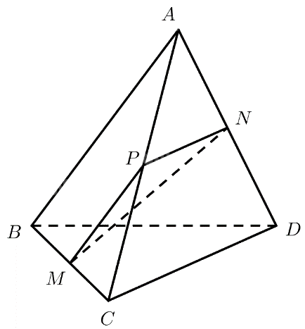 Bài 5 trang 56 SGK Toán 11 tập 2 – Chân trời sáng tạo 2