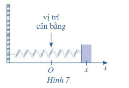 Bài 5 trang 75 SGK Toán 11 tập 2 - Cánh Diều 1