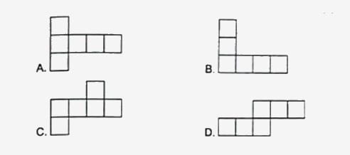 Bài 55: Luyện tập chung (tiết 2) trang 57 vở bài tập Toán 5 - Kết nối tri thức 1