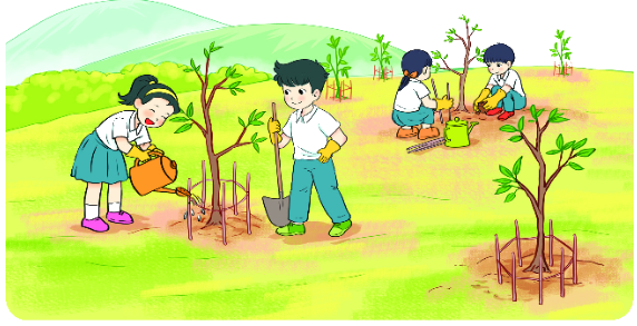 Bài 6: Luyện tập chung 8