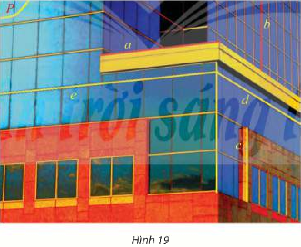 Bài 6 trang 112 SGK Toán 11 tập 1 - Chân trời sáng tạo 1