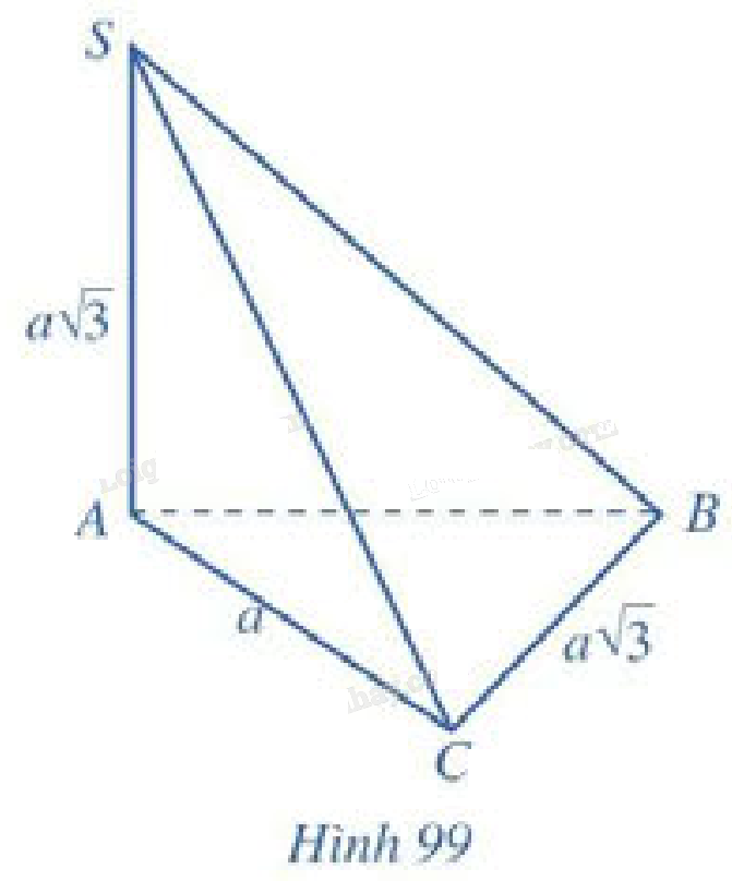 Bài 6 trang 116 SGK Toán 11 tập 2 - Cánh Diều 1