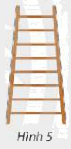 Bài 6 trang 56 SGK Toán 11 tập 1 - Chân trời sáng tạo 1