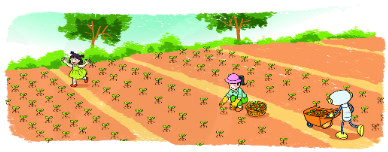 Bài 62. Phép trừ (có nhớ) trong phạm vi 1000 3