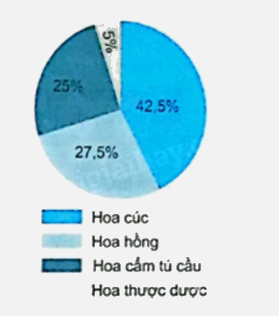 Bài 64: Biểu đồ hình quạt tròn (tiết 2) trang 85 vở bài tập Toán 5 - Kết nối tri thức 1