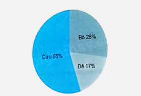 Bài 67: Luyện tập chung trang 92 vở bài tập Toán 5 - Kết nối tri thức 1