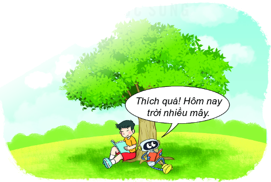 Bài 67: Thực hành và trải nghiệm thu thập, phân loại, kiểm đếm số liệu 3 7