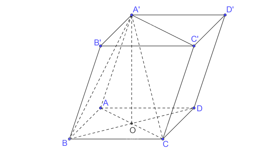 Bài 7.43 trang 65 SGK Toán 11 tập 2 - Kết nối tri thức 2