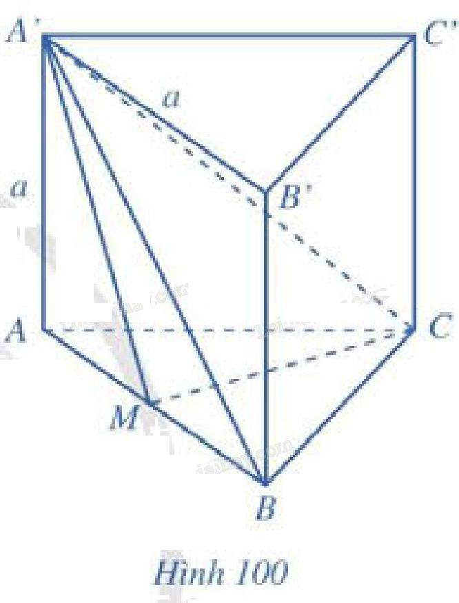 Bài 7 trang 116 SGK Toán 11 tập 2 - Cánh Diều 1