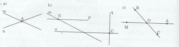 Bài 7 trang 163 Tài liệu dạy – học toán 6 tập 1 1