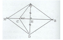 Bài 7 trang 169 Tài liệu dạy – học Toán 7 tập 1 1