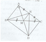 Bài 7 trang 176 Tài liệu dạy – học Toán 7 tập 1 1