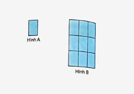 Bài 71: Ôn tập hình học (tiết 2) trang 110 vở bài tập Toán 5 - Kết nối tri thức 4