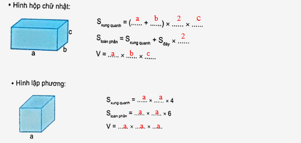 Bài 71: Ôn tập hình học (tiết 3) trang 112 vở bài tập Toán 5 - Kết nối tri thức 0 2