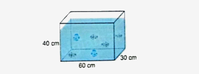 Bài 71: Ôn tập hình học (tiết 4) trang 115 vở bài tập Toán 5 - Kết nối tri thức 1 1