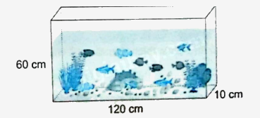 Bài 72: Ôn tập đo lường (tiết 1) trang 117 vở bài tập Toán 5 - Kết nối tri thức 2 1