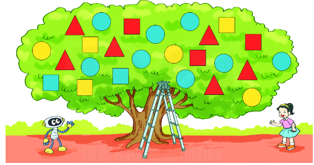 Bài 74: Ôn tập kiểm đếm số liệu và lựa chọn khả năng 0 1