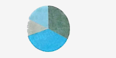 Bài 74: Ôn tập một số yếu tố thống kê và xác suất (tiết 1) trang 123 vở bài tập Toán 5 - Kết nối tri thức 3 1