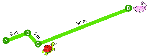 Bài 75: Ôn tập chung 8 1