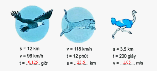 Bài 75: Ôn tập chung (tiết 3) trang 132 vở bài tập Toán 5 - Kết nối tri thức 4 2