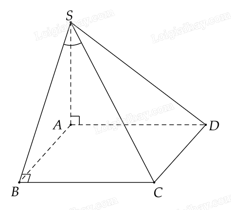 Bài 8.12 trang 63 SGK Toán 11 tập 2 - Cùng khám phá 2