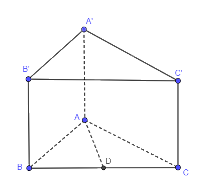 Bài 8.24 trang 79 SGK Toán 11 tập 2 - Cùng khám phá 2