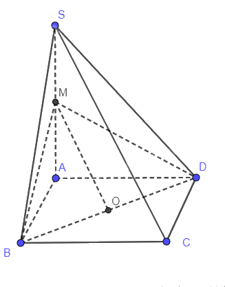 Bài 8.48 trang 90 SGK Toán 11 tập 2 - Cùng khám phá 2