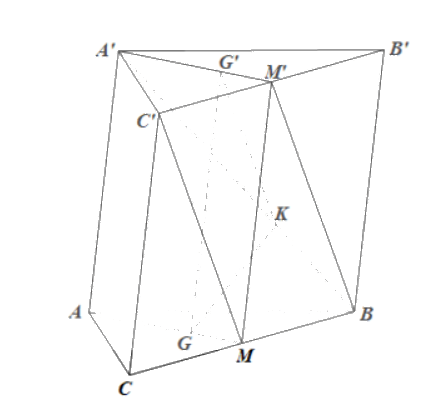 Bài 8 trang 120 SGK Toán 11 tập 1 - Cánh Diều 2