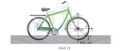 Bài 8 trang 20 SGK Toán 11 tập 1 - Chân trời sáng tạo 1