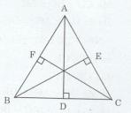 Bài tập 10 trang 128 Tài liệu dạy – học Toán 7 tập 2 1